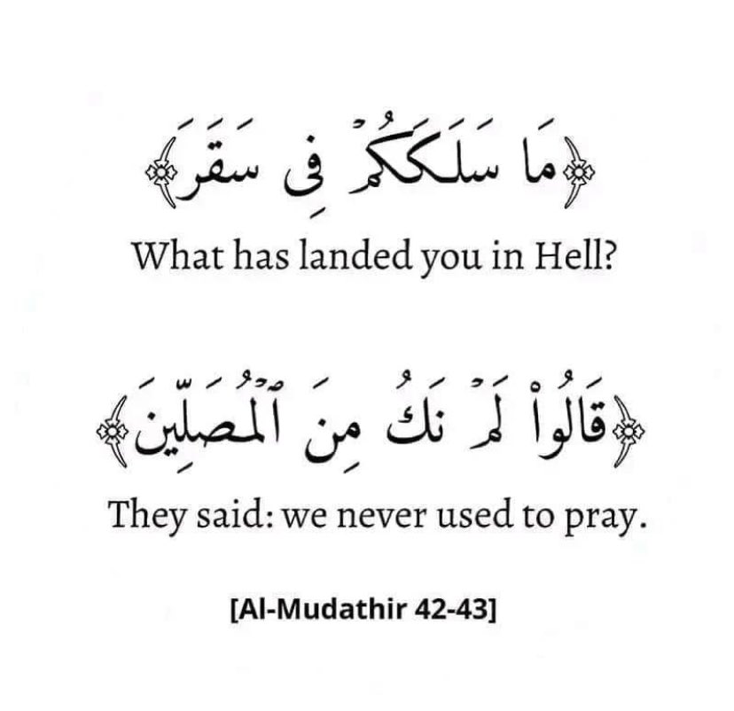 STRIVING MUSLIM tweet media