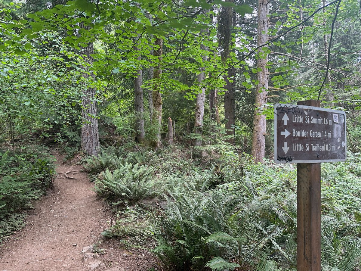 YPTSeattle's tweet photo. We had a great Trailhead Direct event yesterday led by our Membership &amp; Sponsorship Chair, Melody! Check out the blog post on our website! https://t.co/7FqyRTqueI https://t.co/w9fOEsDe19
