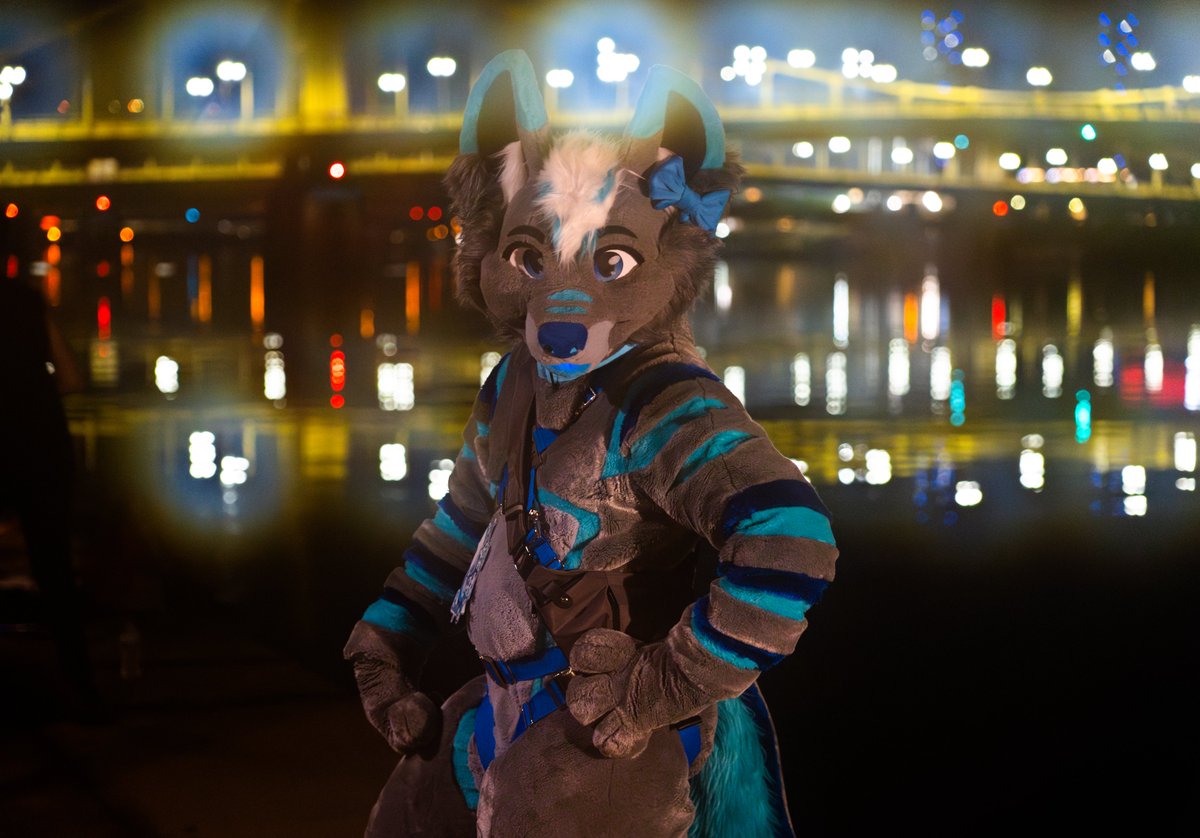 Swiftfeather tweet media