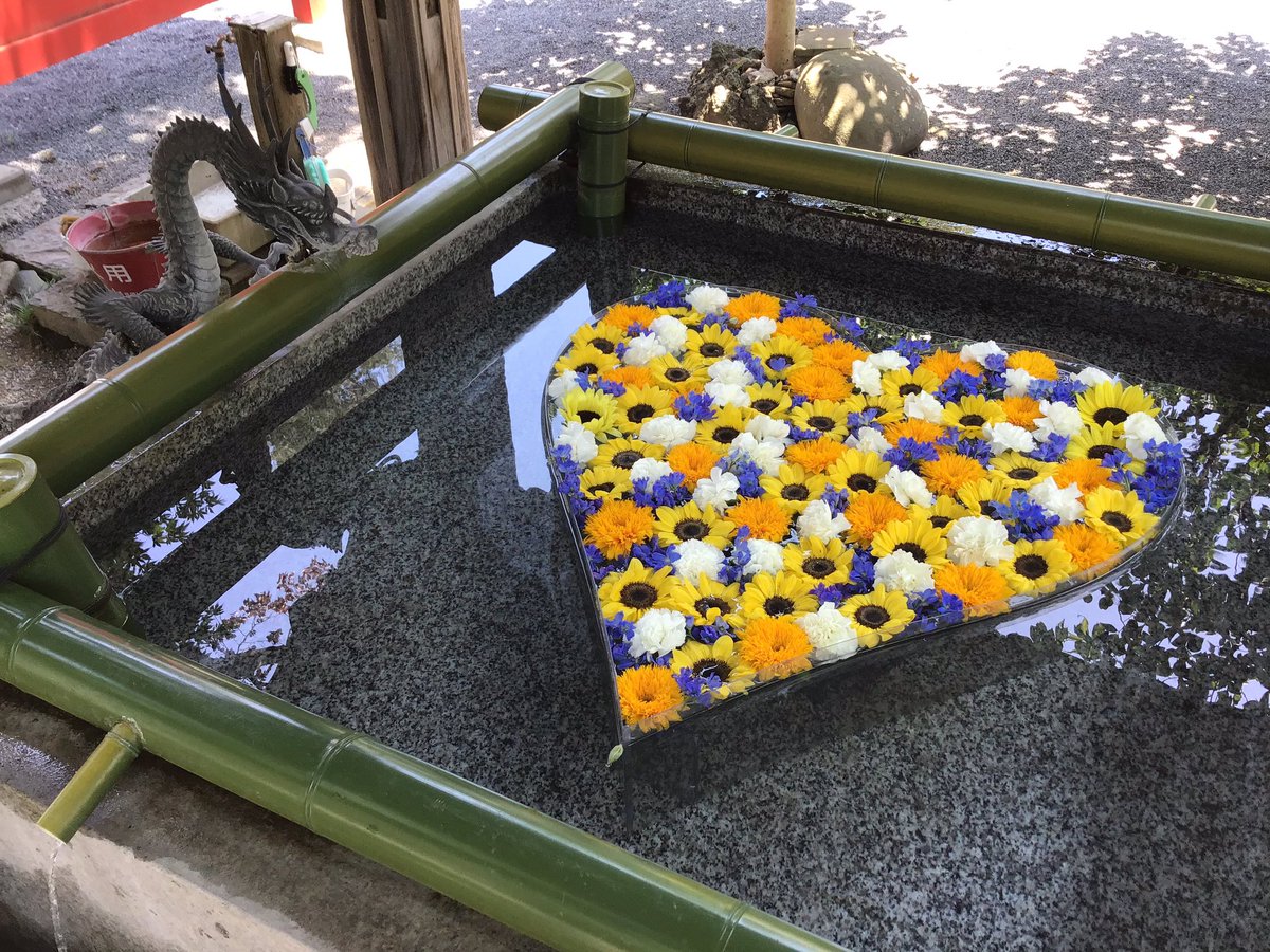 fusebenten's tweet photo. 本日己巳の日です🐍夏色の花手水もございますのでお参りの際はぜひご覧ください🌻また、7〜8月は夏詣ということで、御朱印に青い限定の判を押しております(※巳の日の限定御朱印にはつきません)。
熱中症警戒アラートが出ておりますのでお出かけされる方はご注意ください😵☀️
#布施弁天 #花手水 #柏市 https://t.co/Ugk4thvt6f
