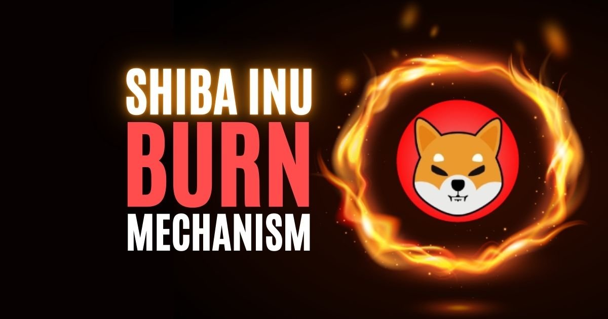 AkaiShibarium's tweet photo. $KOY was good. They had 10 total tax, and 1% from that 10 was burning $SHIB

Now, it's $AKAI's turn: from 8% total tax, 4% is used to burn $SHIB automatically

Let's burn $SHIB and forget about everything else! https://t.co/2mCWV5sjKh