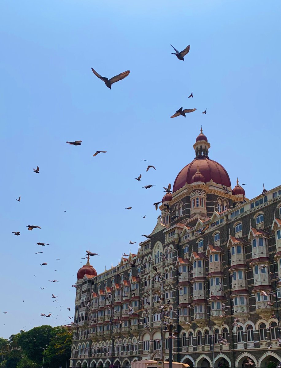 pavanjohnson007's tweet photo. Reply/Quote with the best shot you’ve taken with a phone 
•Shot on iPhone XR https://t.co/YO774BPn32