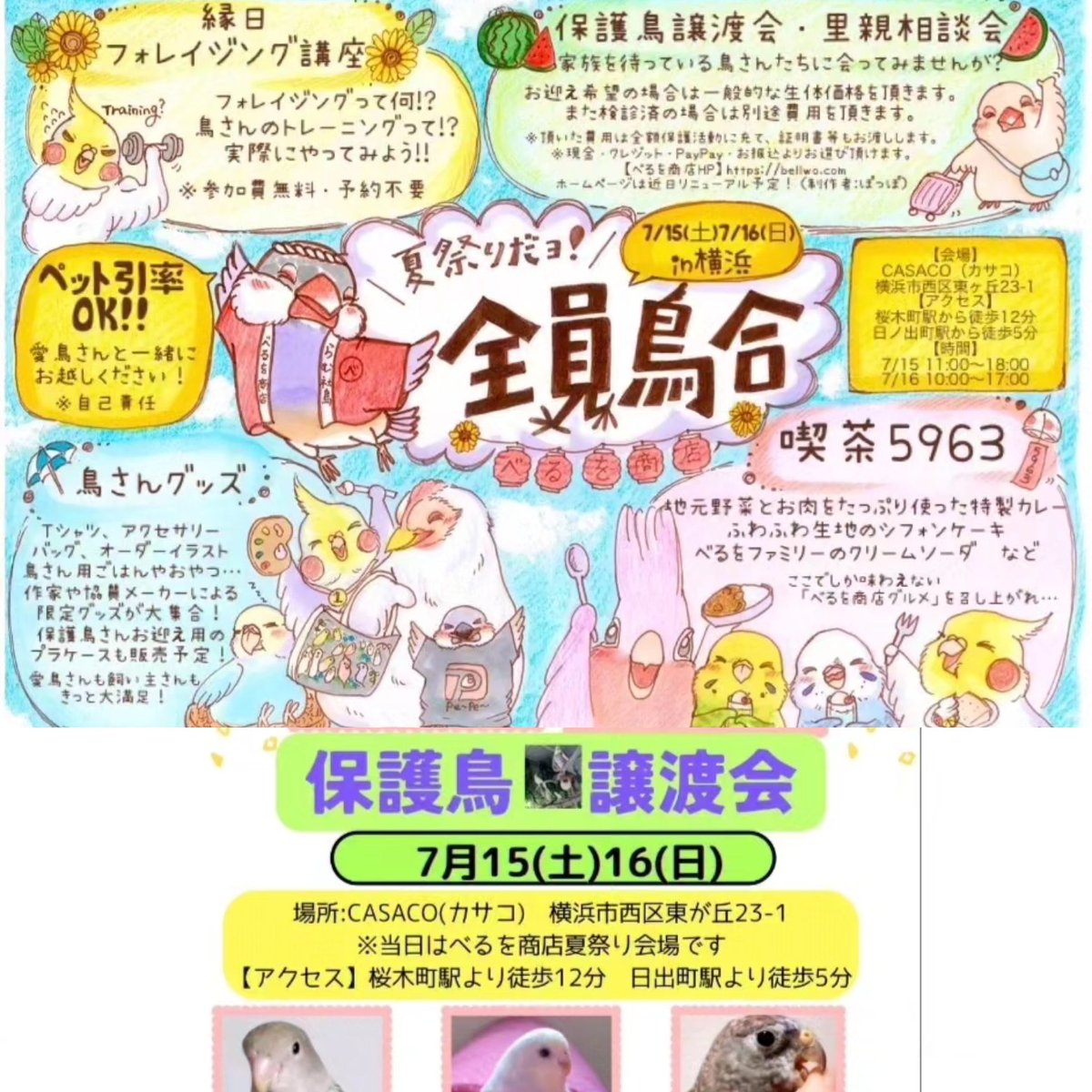 '
111羽保護についての経緯
をご報告させて頂きます

べるを商店ホームページでは
クレジット決済によるご寄付
を承っております
bellwo.com

また、銀行へのお振込は
足利銀行／足利支店
普通　3331834
アライカズヒロ　迄

ペイペイ送金、現金書留
によるご寄付は直接
ご相談下さいませ