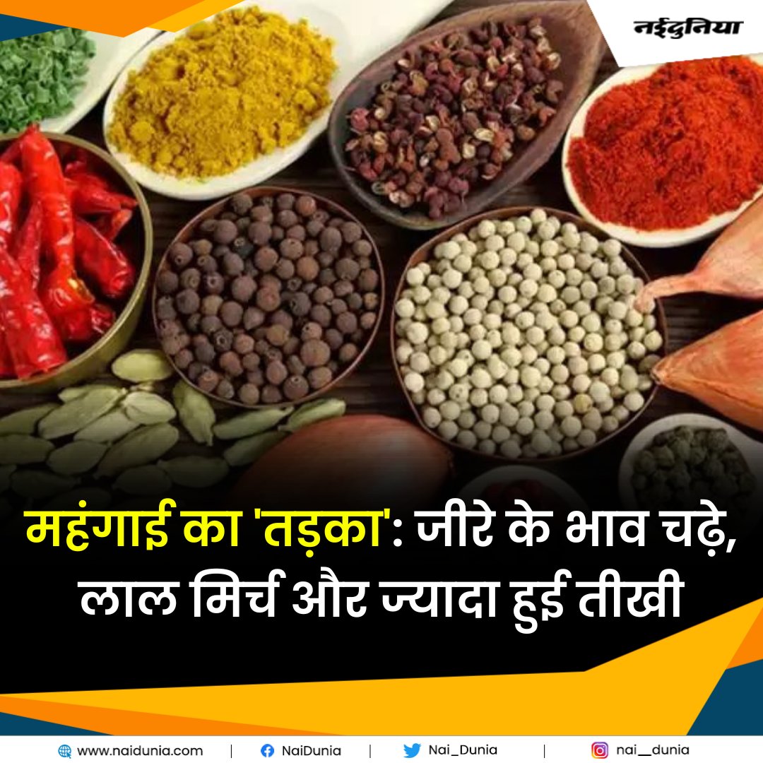 Nai_Dunia's tweet image. rb.gy/m8grv || महंगाई का 'तड़का' : जीरे के भाव चढ़े, लाल मिर्च और ज्यादा हुई तीखी

#Inflation #RedChilli #RedChilliPrice #Cumin #CuminPrice #MPNews #Spices #SpicesPrice #Naidunia