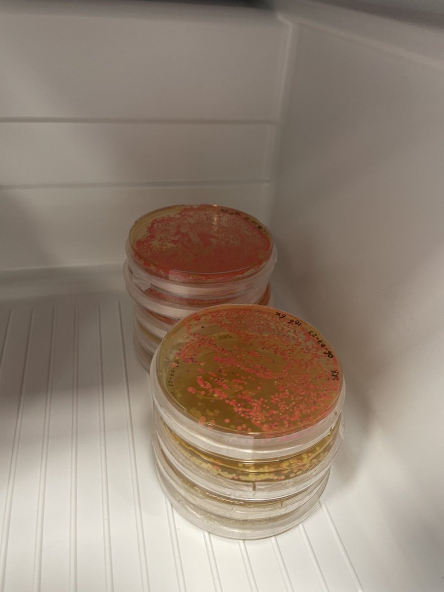L_AJ_Alvarez's tweet photo. Today is going to be a good day 🙃. Everything is set to start the Fluorescence Imaging Beyond Intensities course at @EMBLEvents #EMBLFluorescenceLifetime excited to have  professors @jalink_kees, @Marie_Erard75, @LizzHinde, @mgpisfil, Sergi Padilla, Dorus Gadella, Kai Johnsson https://t.co/jdDvigvnT8