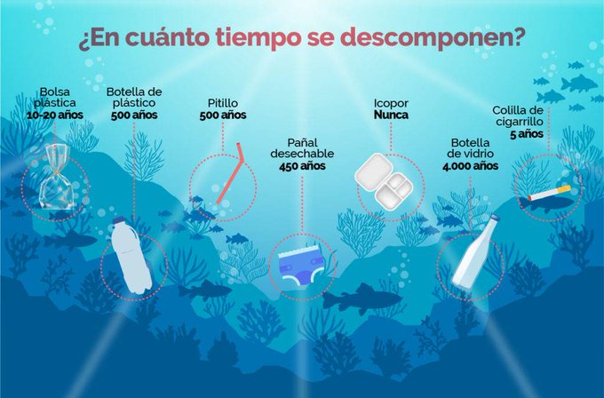 La_network's tweet photo. La basura marina afecta a la diversidad biológica, porque tarda decenas de años en descomponerse y los animales se enredan en ella y hasta la ingieren, lo que puede matarlos o hacer imposible su reproducción.  #LABiodiversidad https://t.co/PYmPXrnXl5