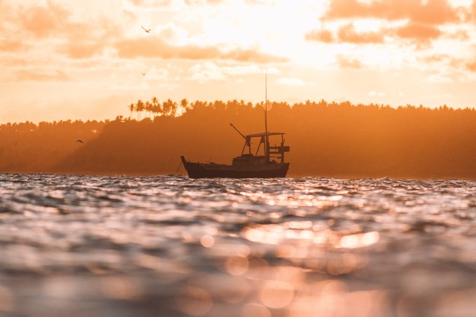 La_network's tweet photo. Cada vez hay más evidencias que demuestran el papel esencial que desempeña #LABiodiversidad marina para la salud del planeta y el bienestar social. Los sectores de pesca y acuicultura son una fuente de ingresos para millones de personas, especialmente familias de bajos ingresos. https://t.co/hwdjF64TpS