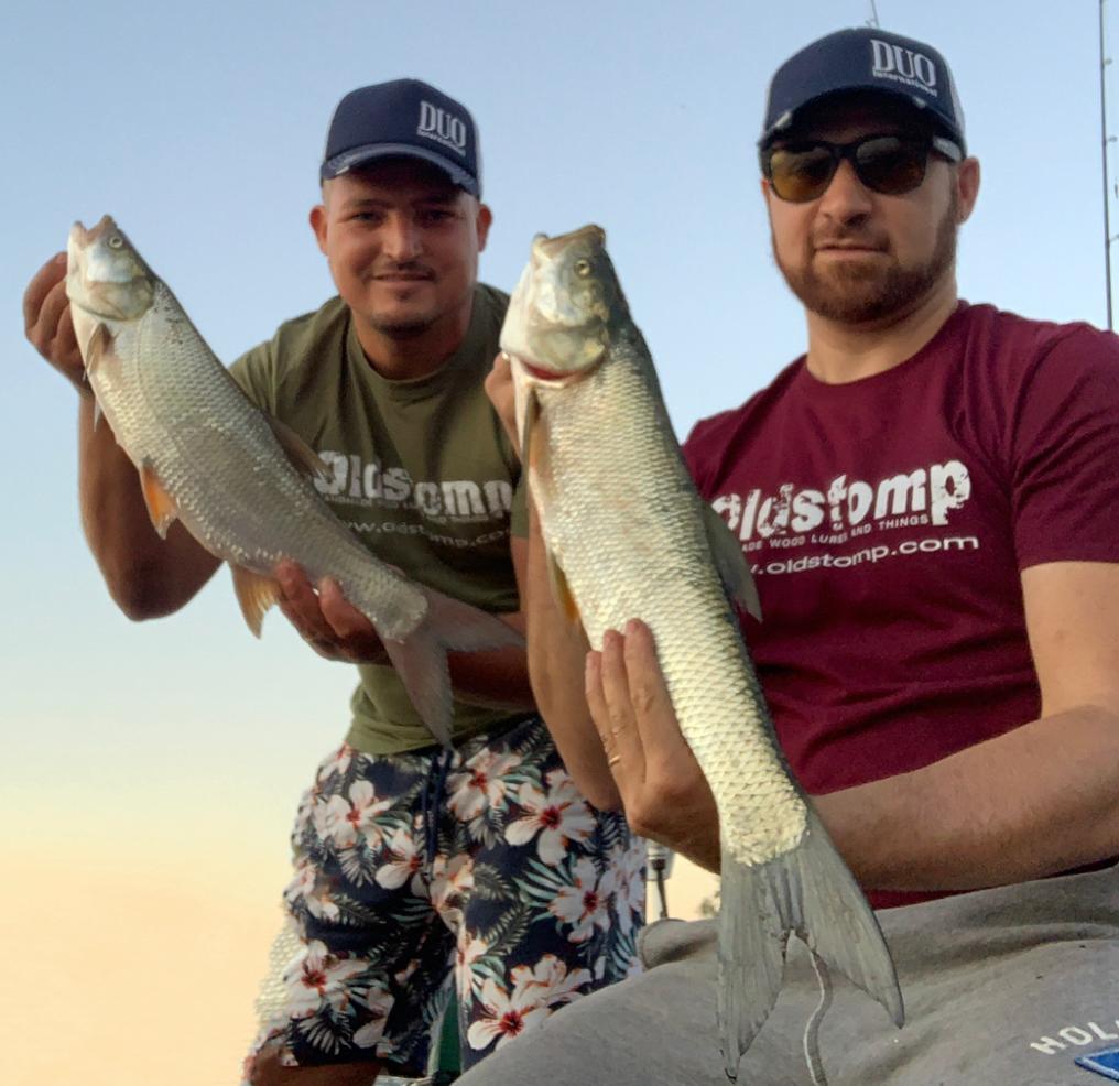 Oldstomp's tweet photo. Buon inizio settimana a tutti con questa stupenda doppietta di @ander_fisherman e @mirco_innocente !!!!
#aspio #oldstomp #fishing #pescaspinning https://t.co/oJ8jU8nUCo