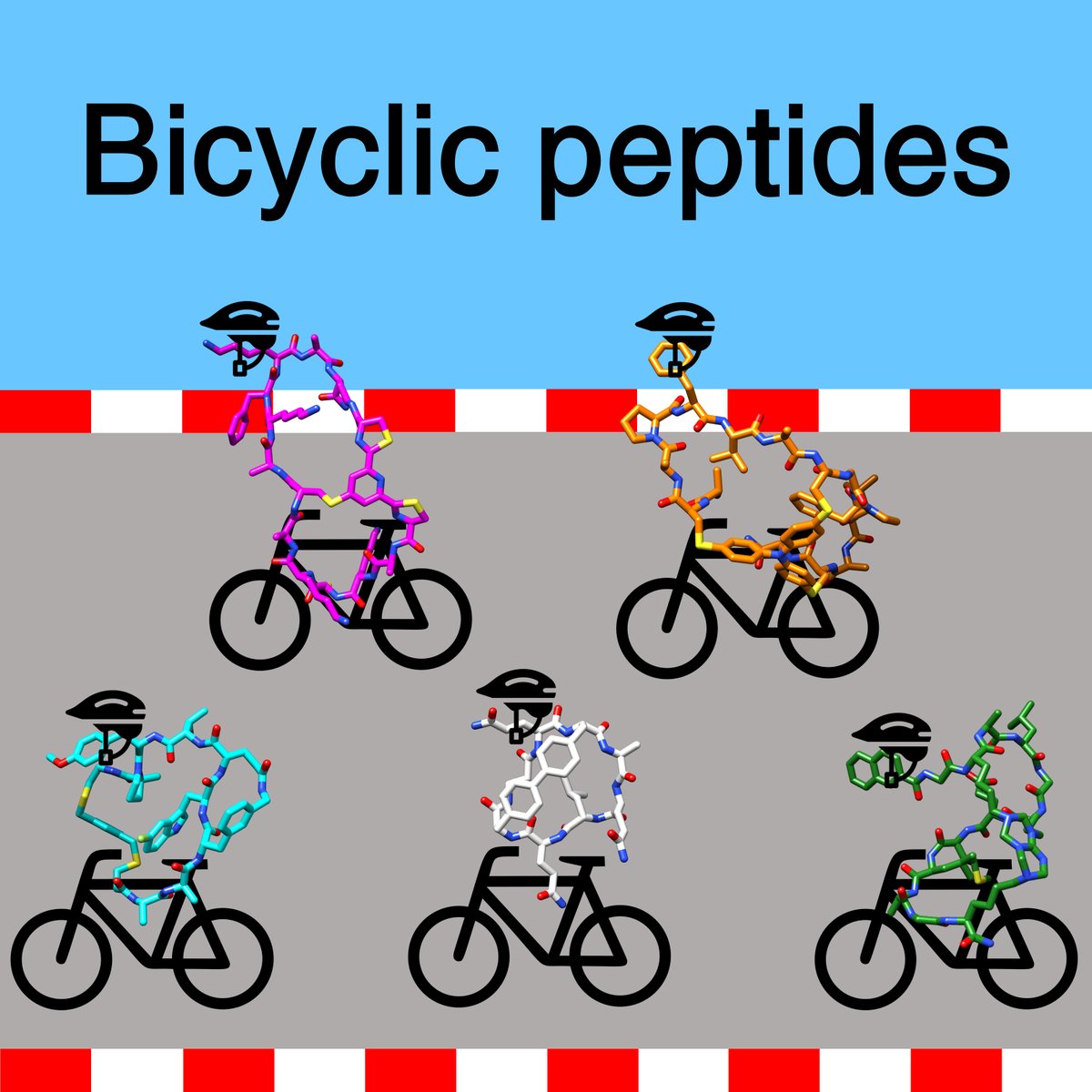 Sven Ullrich (@s_ullr) on Twitter photo Thrilled to share our review on bicyclic peptides, my 10th publication. The opportunity arose from the <a href="/ampepsoc/">American Peptide Society</a> symposium 2022. Grateful for the honour of co-corresponding for the first time. Immensely thankful for the support from <a href="/NitscheLab/">Christoph Nitsche</a>! doi.org/10.1002/pep2.2… Thrilled to share our review on bicyclic peptides, my 10th publication. The opportunity arose from the <a href="/ampepsoc/">American Peptide Society</a> symposium 2022. Grateful for the honour of co-corresponding for the first time. Immensely thankful for the support from <a href="/NitscheLab/">Christoph Nitsche</a>! doi.org/10.1002/pep2.2…