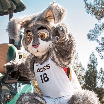 #NewProfilePic the Las Vegas Aces made me a lot of money today. So just showing some appreciation #BetOnWomen