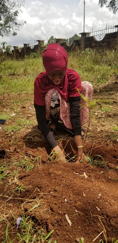 GREYEA_KE's tweet photo. Its the small efforts that we do that makes the difference. We will continue making the Earth 🌍 younger.
@David_Shadrack_ 
@kunec250 
@KU_UNESCO @KUGreenEduHub 
@k_iuesa 
@PACJA1 
@Karasinga3 
@Sdg13Un @WeDontHaveTime https://t.co/3v1phQJXoz