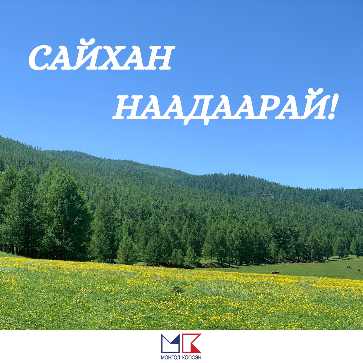 Сайхан наадаарай!