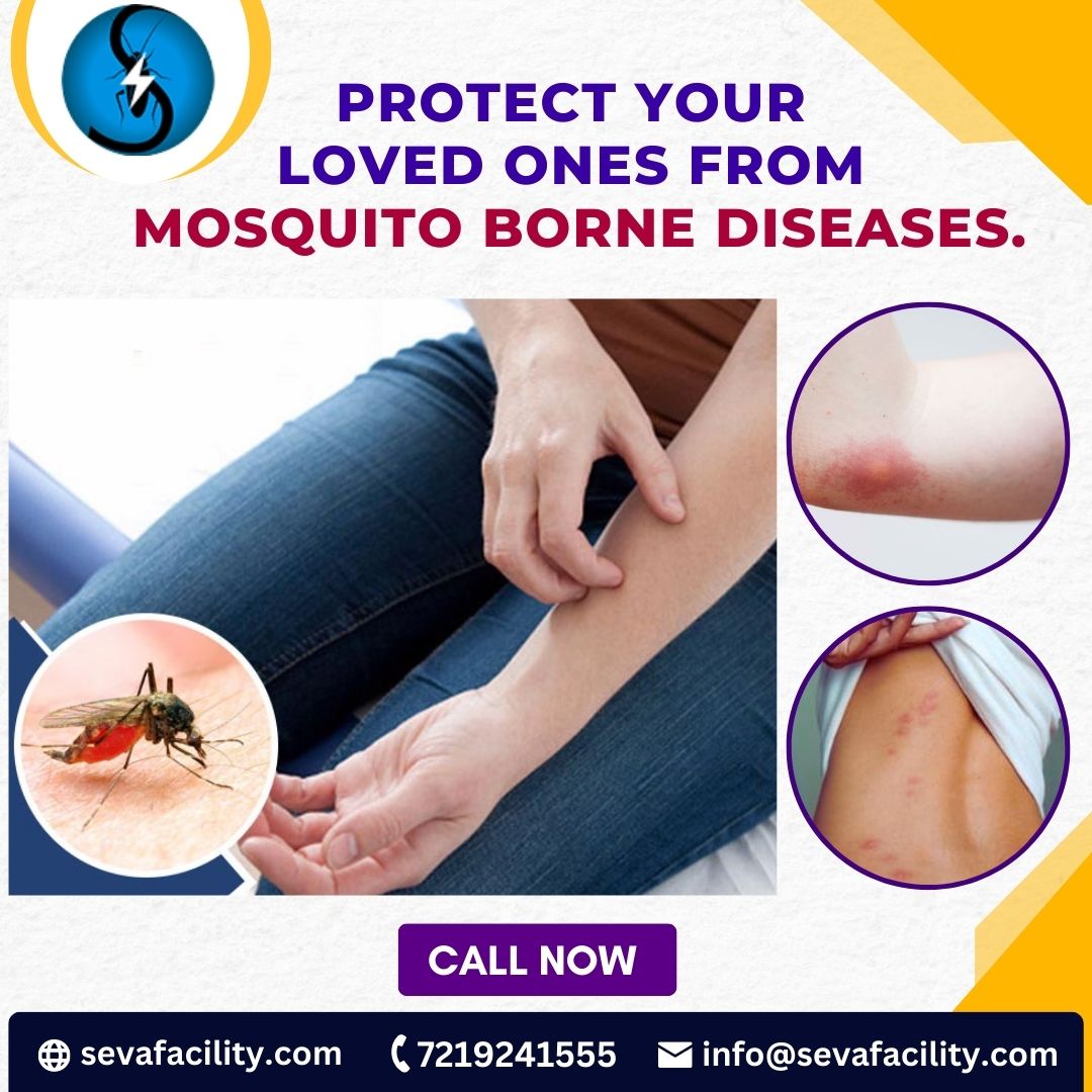 sevafacility111's tweet photo. Protect Your Loved Ones From Mosquito-Borne Diseases.
📲 Dial 7219241555 
🌐 Visit us at https://t.co/dzP96N0caQ
✉️ Email us at info@sevafacility.com

#SevaFacility #PestControl #sanitization #fumigation #Services #SayNoToPests #HeadOfficeIn #PuneMaharashtraIndia https://t.co/aD54WcK2sb