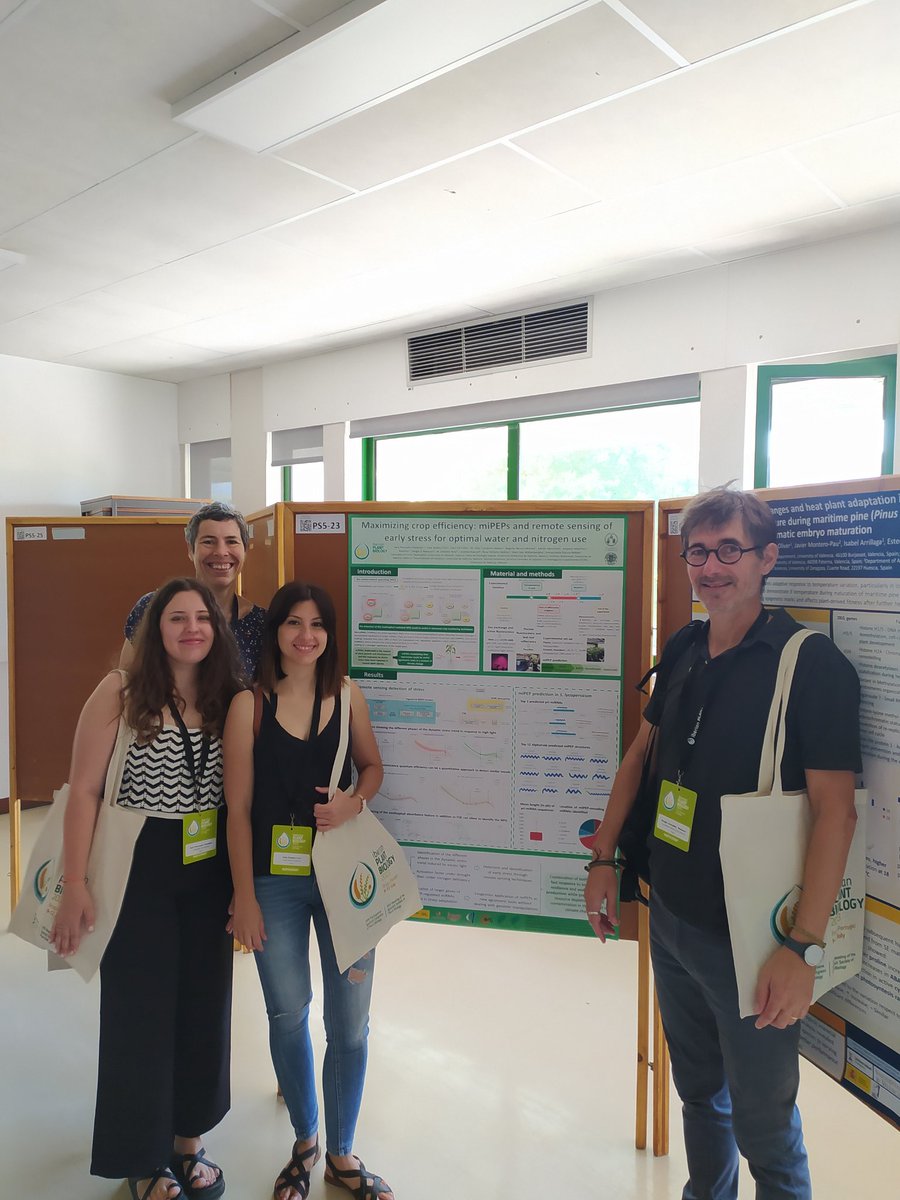 Happy to share our latest results off the  #TOMSMART project at the Iberian plant biology congress in Braga @agroalnext_GVA @PlantPhysiolUPV @biomoluv @BegonaRenau @Dendro_di @mapicendrero @IberianPB2023