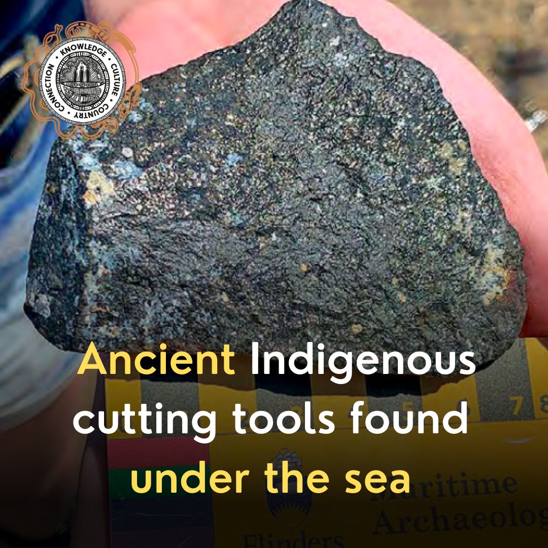 ANCIENT Aboriginal artefacts likely buried in a freshwater spring thousands of years ago have been miraculously discovered under the sea off Western Australia. MORE on this story in our current edition: koorimail.com #KooriMail #AboriginalArtefacts #WesternAustralia