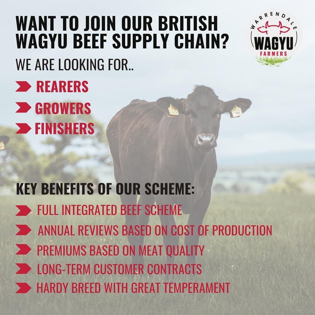 💫We are actively recruiting Rearers, Growers &amp; Finishers across Wales &amp; Borders💫

Feel free to drop me a message or call on 07428148859 for an informal chat.