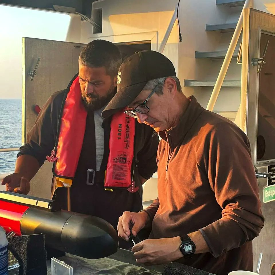 HFF Lebanon tweet media