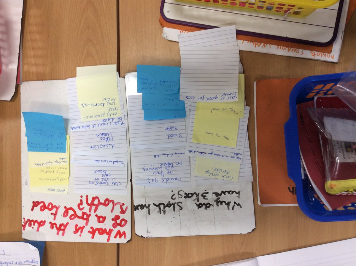 Lowry_BPS's tweet photo. @BlackrodPSch In English we have been using our sloth facts to group our information into themes to create non-chronological reports. https://t.co/HASlLK5Ws0
