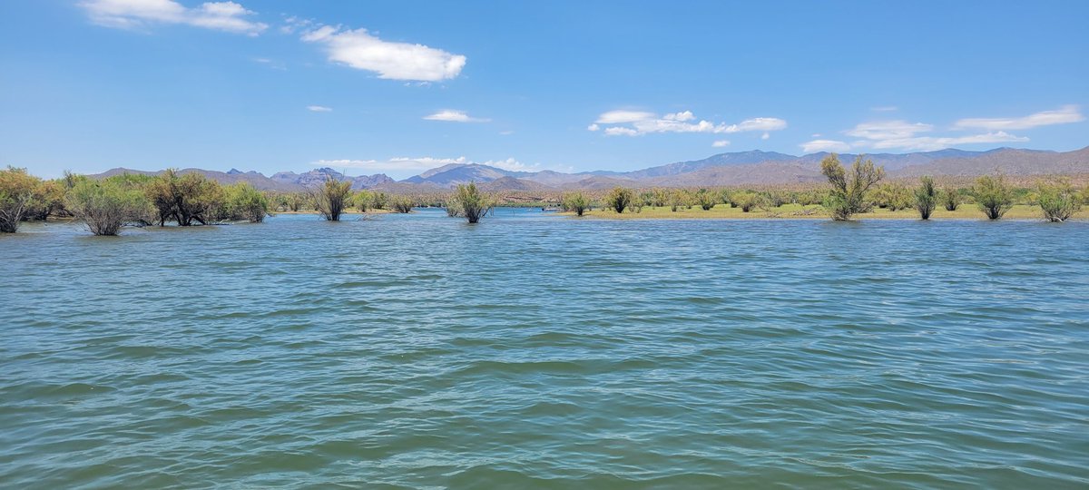 thedesertfox007's tweet image. Lake day!!! @iROCKERsup #suplife #irocker #desertfox