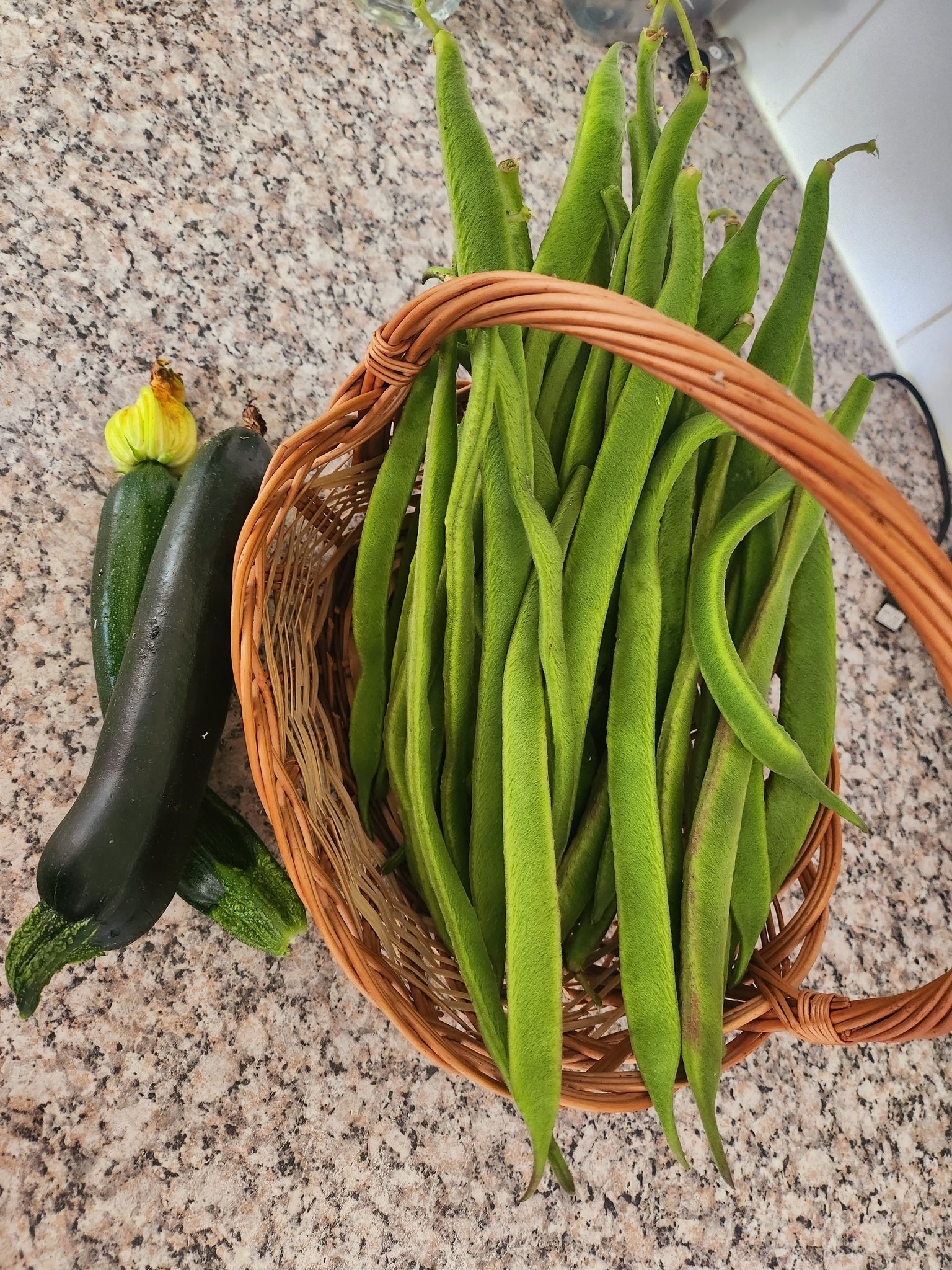 VeganSteven 🌻💚🌱 on Twitter "Monday roast dinner with runner beans