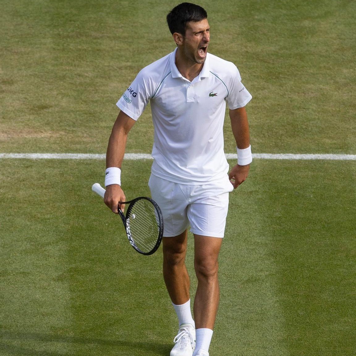 NikiLaudacccc's tweet image. Cant access my old account guys can you help me find some mutuals so we can celebrate #24 together 😄 much appreciated #NoleFam #NovakDjokovic #Wimbledon @frani23121 @ElkNat877 @RottenKnee23 @Nole_fan_girl @AACH88132127 @BarryAruba @Noleslam @NDjokofan @Darko_Djo @Wimbledon