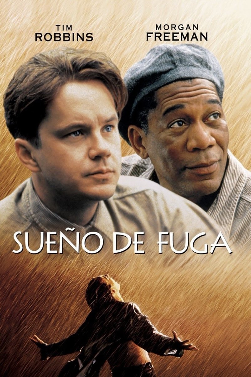 Rayan | Growth Hacker Internacional tweet media