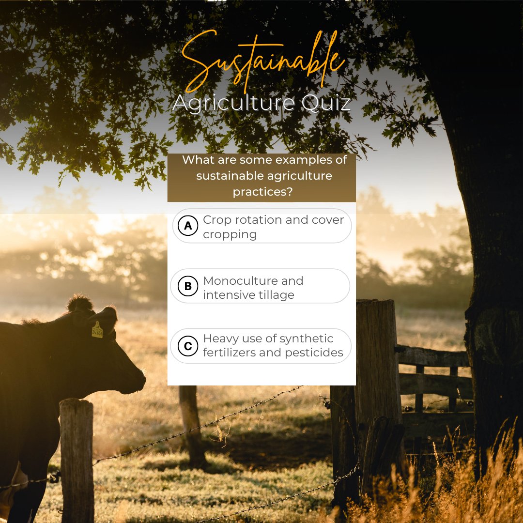 sensilize's tweet image. Test your knowledge about sustainable agriculture by answering the following questions 👇

Visit our LinkedIn page to read more: bit.ly/3D6TtfZ

#Quiz #SustainableAgriculture