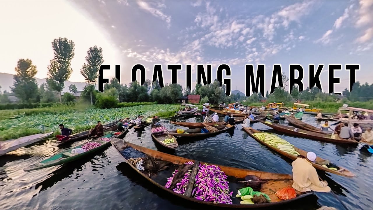 insha-b-on-twitter-the-floating-vegetable-gardens-of-kashmir-locally
