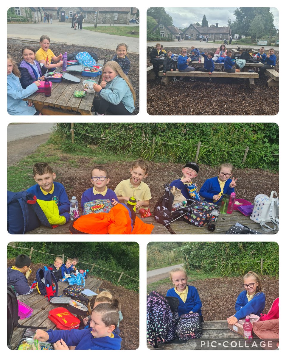 Feeding time for the cheeky monkeys 🐒 🙈 😝 <a href="/Blackwood_PS/">Blackwood Primary</a> @wild_place