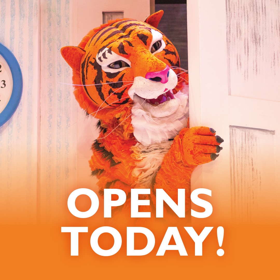 Tiger's Tea Live tweet media