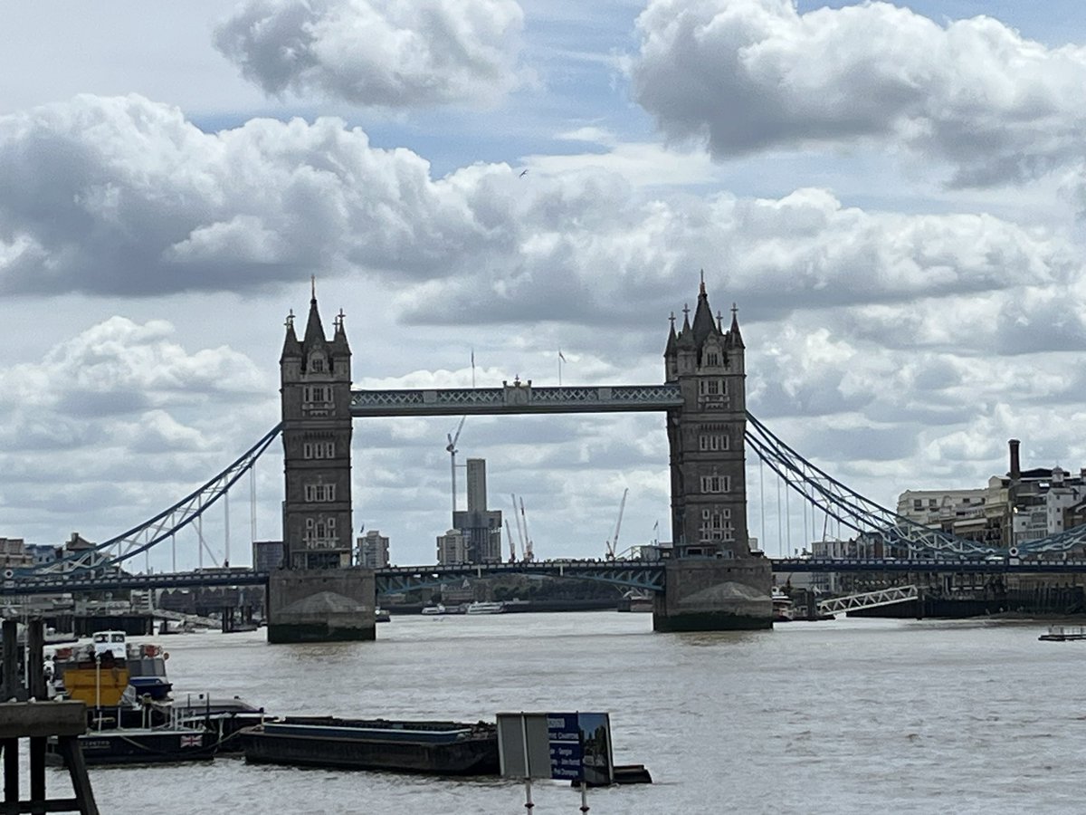 Cool bridge bro