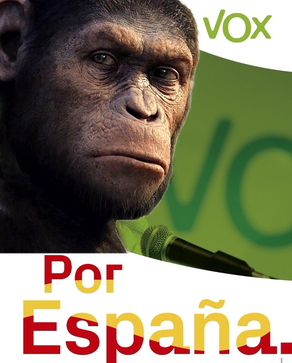 LaWomanDelCallao tweet media