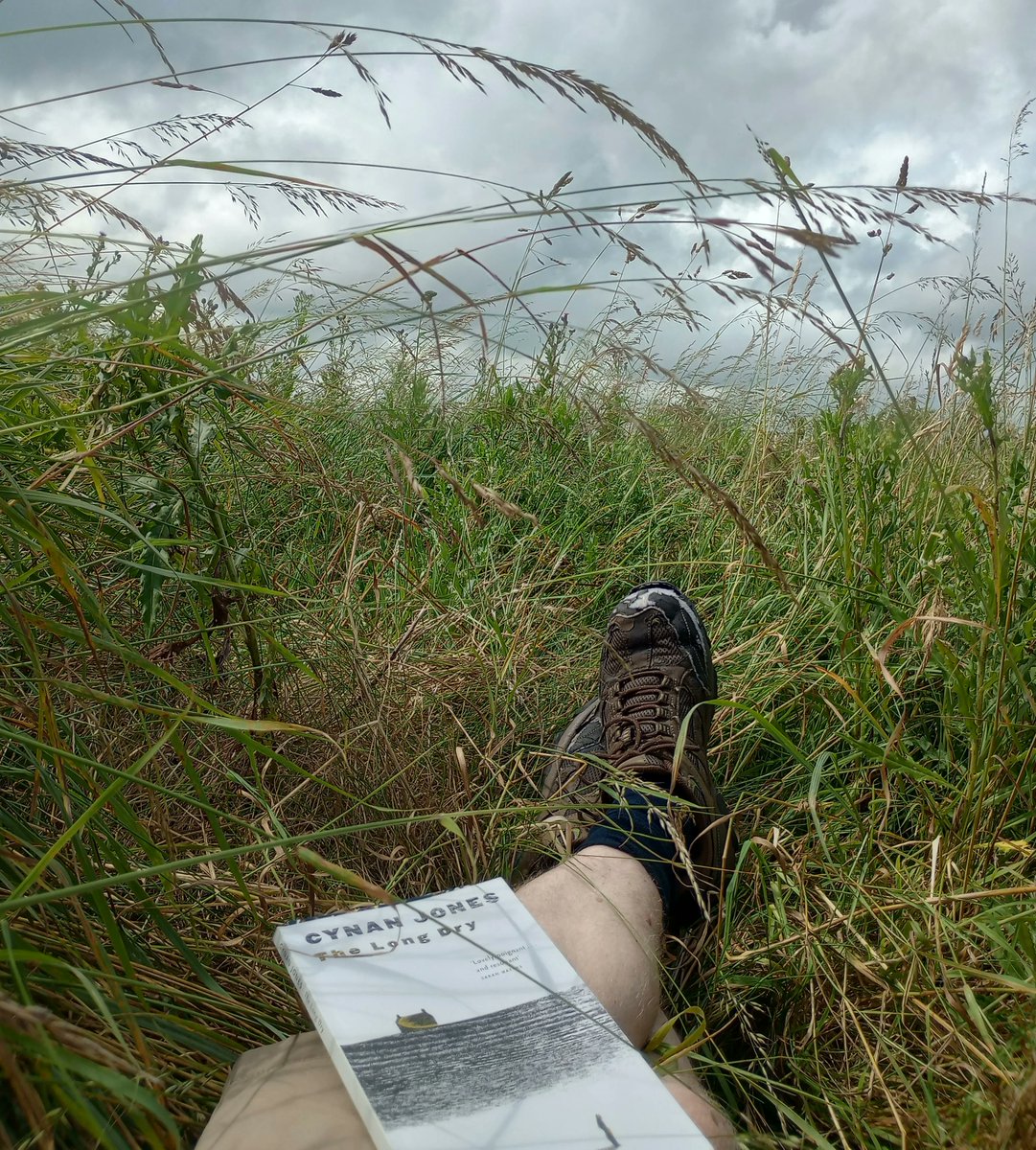 Booktime in the meadow (The Long Dry by Cynan Jones) #cynanjones #meadowgrasses #wildmeadow