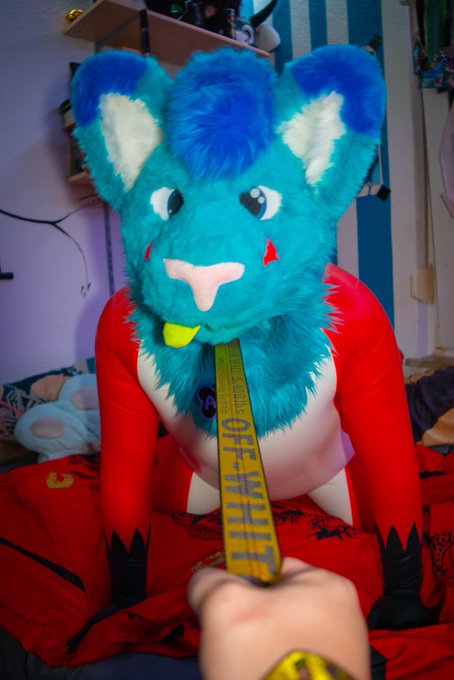 AèkoTheMurrCat - 2 pic. So it’s time for #murrsuitmonday again :0 this time let’s make it a #squeakymonday owo Some one wanna be squeaky with me ? https://t.co/ByZWyxawft