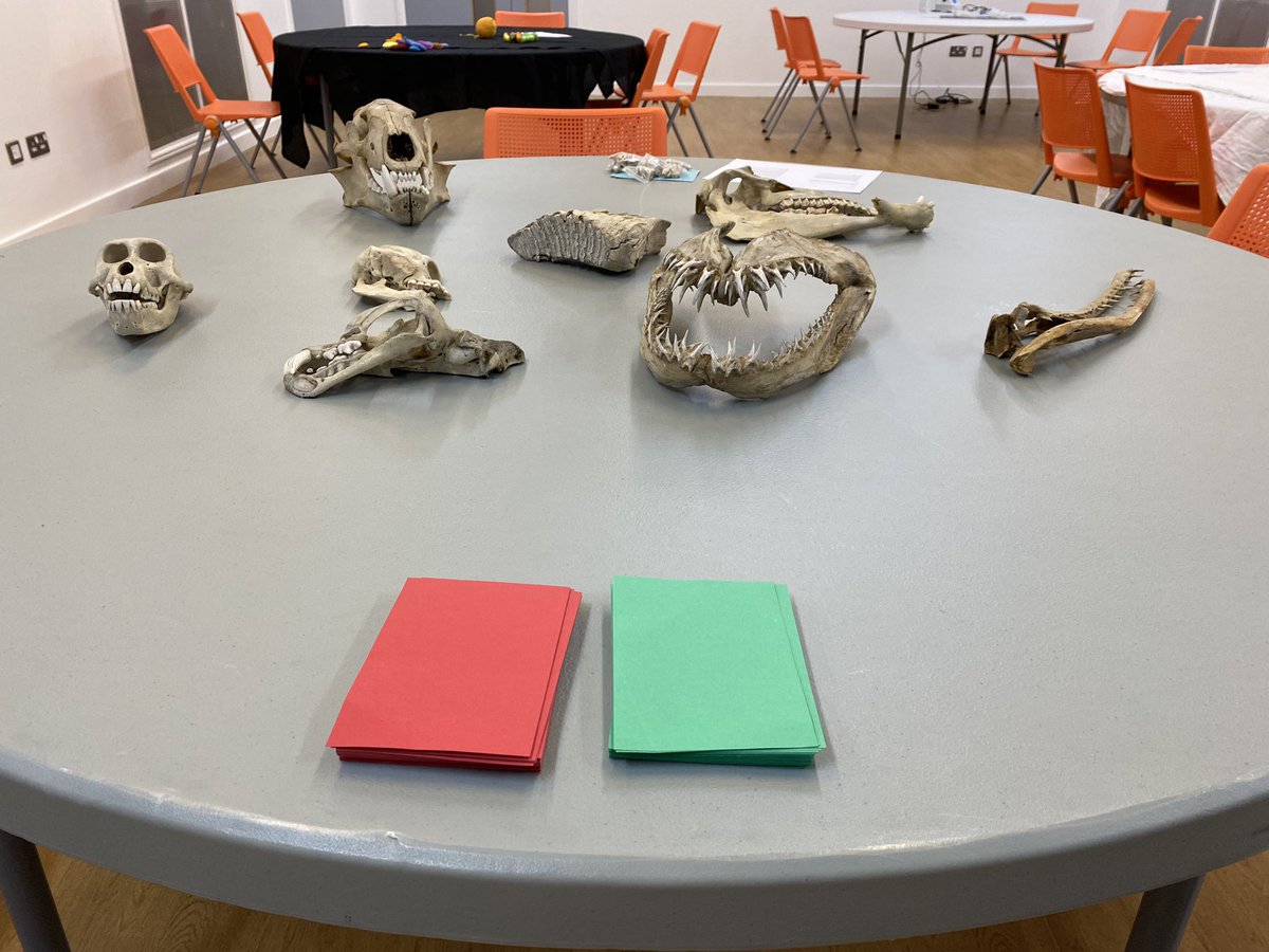 laughingsnail's tweet photo. All set up for #Scimed @millenniumpoint with the #bdhopenwide team from @UoB_Dentistry - having a blast with teeth, microbes, scalers and impression making in our workshop and the anaerobic chamber and Marc the curing head in the exhibition space! https://t.co/KZTVLnyq2v