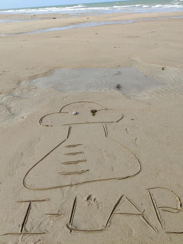 Les vacances ont commencé pour certains et l'équipe est toujours présente dans un coin de la tête 😉
Une tradition qui remonte à plusieurs années maintenant ⛱️✏️🐚 et que certains membres perpétuent avec plus ou moins de talent 🤣🤣