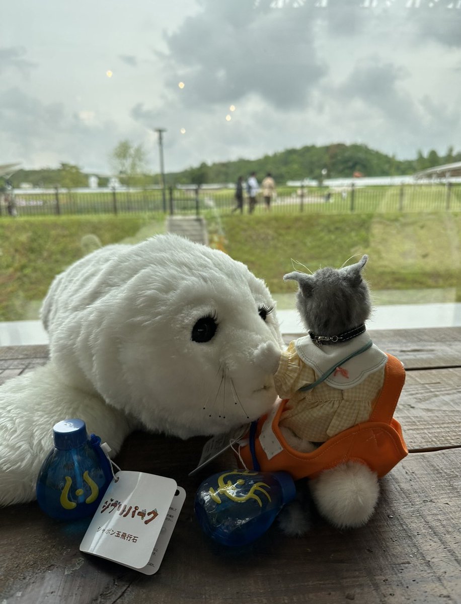 kaorujibika's tweet image. 【ジブリパーク】

「ジブリの大倉庫」

ベンチで、ほっと一息。

あざらしロボットのPAROちゃんと、
鯖トラ猫ちゃんと、ひと休憩。

ロボフレ活動中にゃ

#RobotFriendly  #ロボットフレンドリー #PARO #あざらしロボット #鯖トラ猫 #猫制作pico #猫アートドール #ジブリパーク #ジブリの大倉庫…