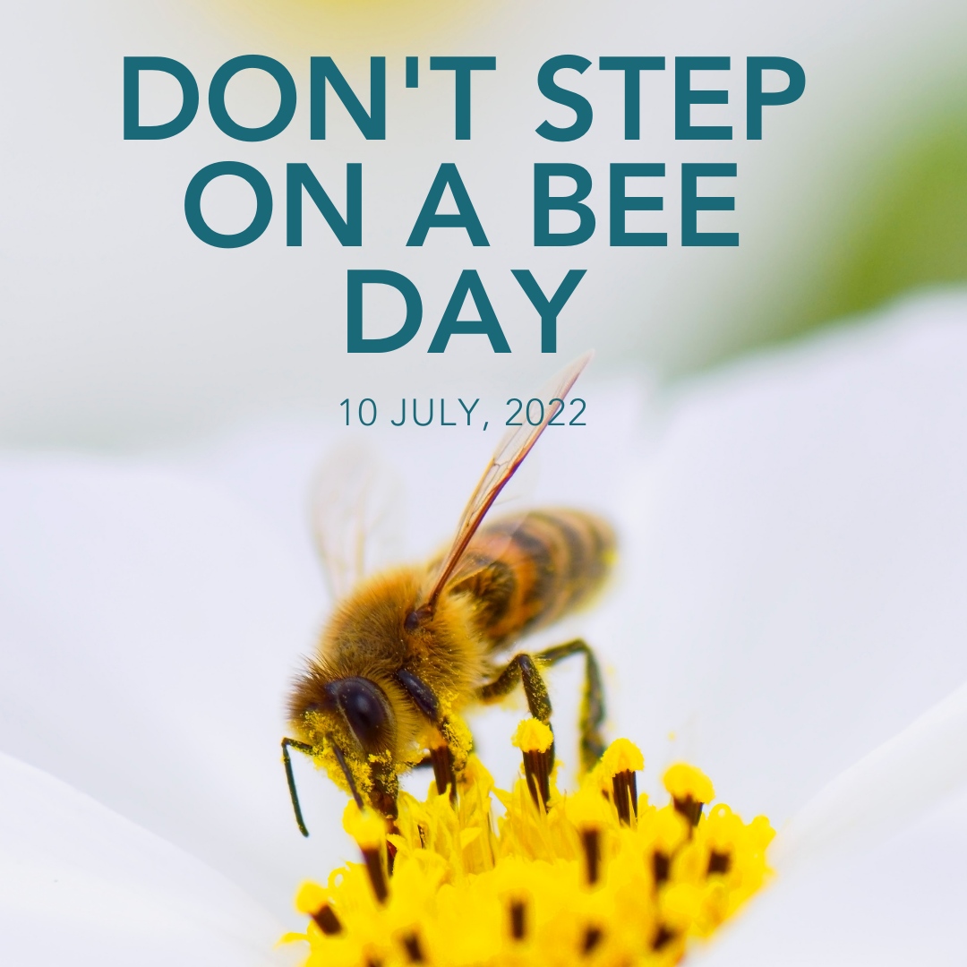 'Don't Step on a Bee Day' aims to create consciousness about the conservation of bees and highlights the plight they face due to the destruction of their habitats. To learn more about supporting bees and their habitats - wildlifetrusts.org/savingbees

#DontStepOnABeeDay #BeeGoodtobees