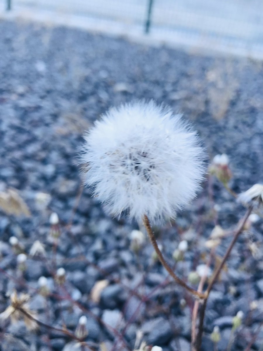 Günaydın dostlar
Mutlu bir hafta olsunn💛💙🌹🌹🌹☕️☕️