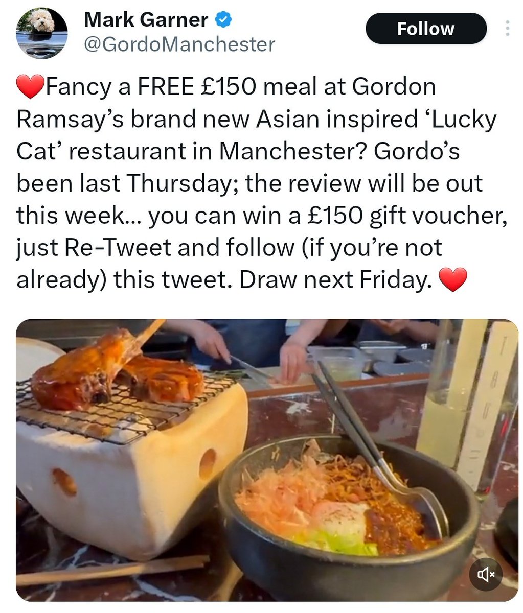 Elsa Lee | ☘️🥢 tweet media