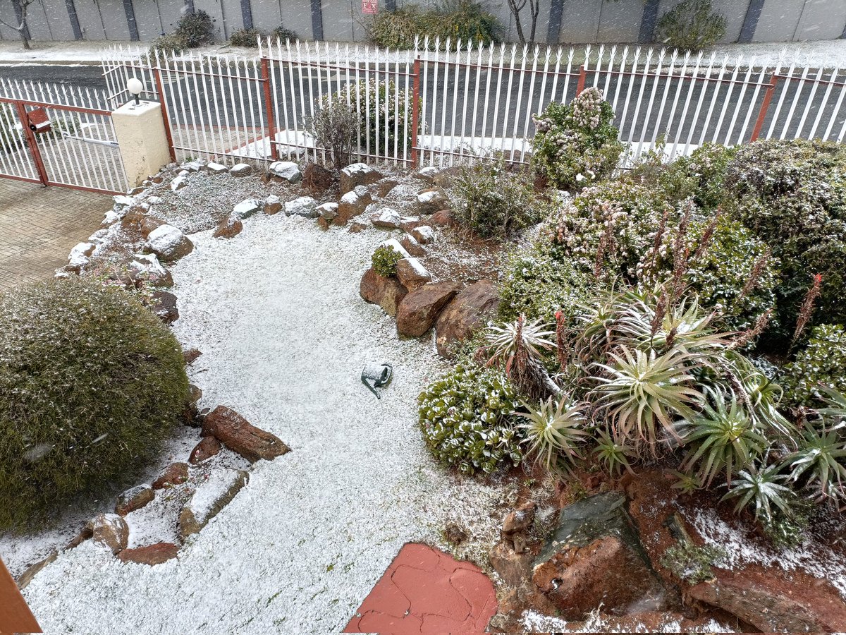 View of the Snow at home right now (well really, sleet, but us South Africans aren't used to this 🤣)