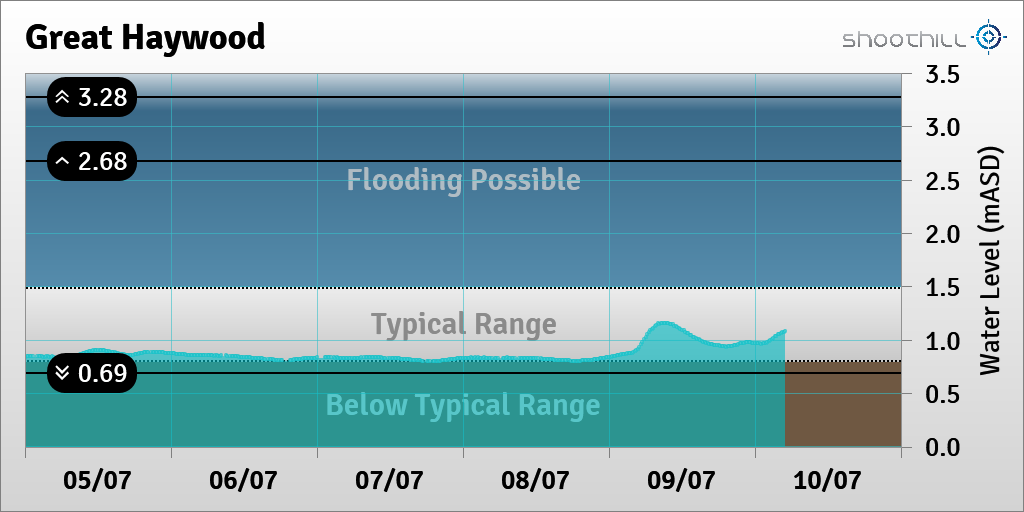 Great Haywood tweet media