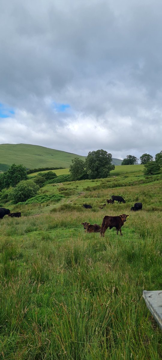 Cows are not the problem, and I'm sick of this blatant 'farmer-bashing', and the Unions need to stop pandering to this? Defend our industry, not go along with this lunacy. We are not China or Brazil, we are mostly responsible, shout about that.