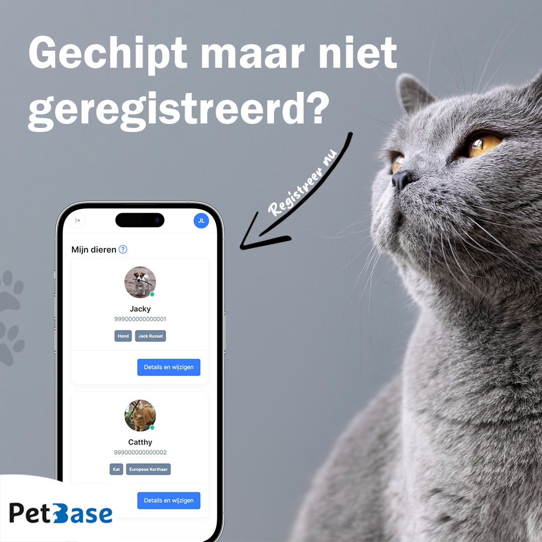 PetBase's tweet image. Gechipt maar niet geregistreerd? Registreer hem nu!

petbase.eu/huisdier-regis…