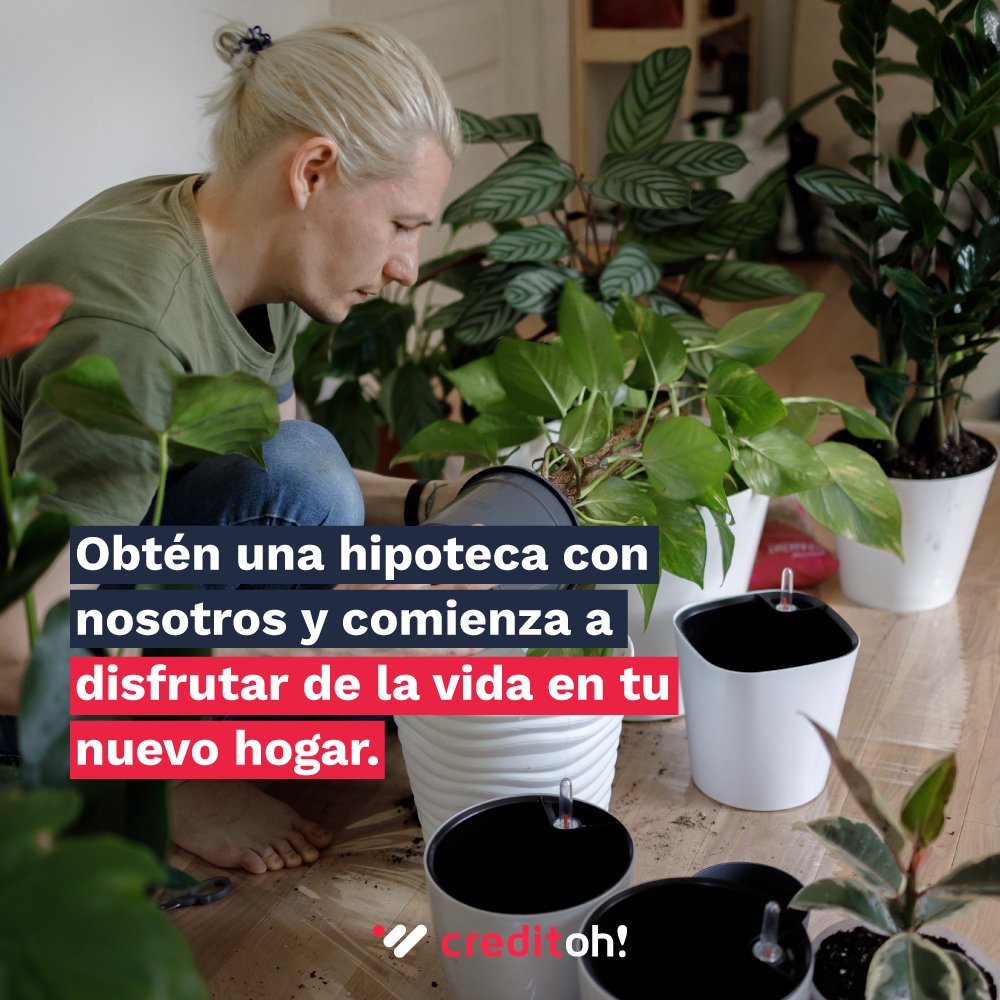 Te damos las mejores soluciones hipotecarias para la compra de tu vivienda. No pierdas tiempo..
👉 creditoh.com/solicita-estud…

#creditoh #asesorhipotecario #asesorfinanciero #brokerhipotecario #hipoteca100 #hipoteca