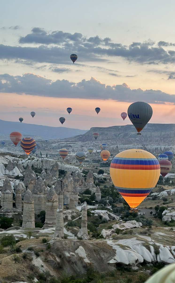 macnnancy's tweet image. A magical morning! What an incredible experience!