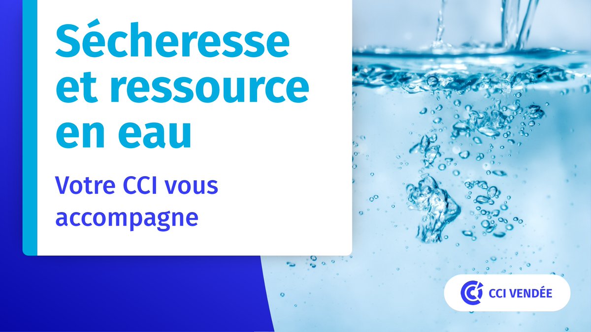 💦 Ressource en eau 💦
Votre #CCI vous aide à établir un pré-diagnostic de vos pratiques et de votre consommation, et à établir un premier plan d'action.
Contactez-nous 👇
paysdelaloire.cci.fr/votre-cci-vous...
#secheresse #eau #eaupotable #vendee