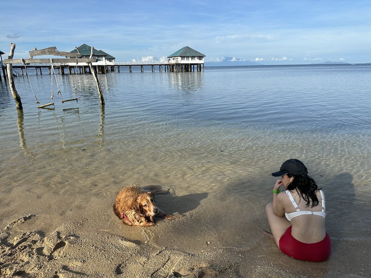 mara_elize's tweet photo. And that’s it for this #GoldenWeekend

I need to re-shower after bathing in Ari drool and I need to bathe Ari because he faintly smells of the sea even after he rinsed him https://t.co/Ux1sNMqeHT