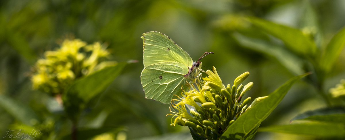 #photooftheday Goedemorgen! Nog twee diensten en dan even helemaal niets..