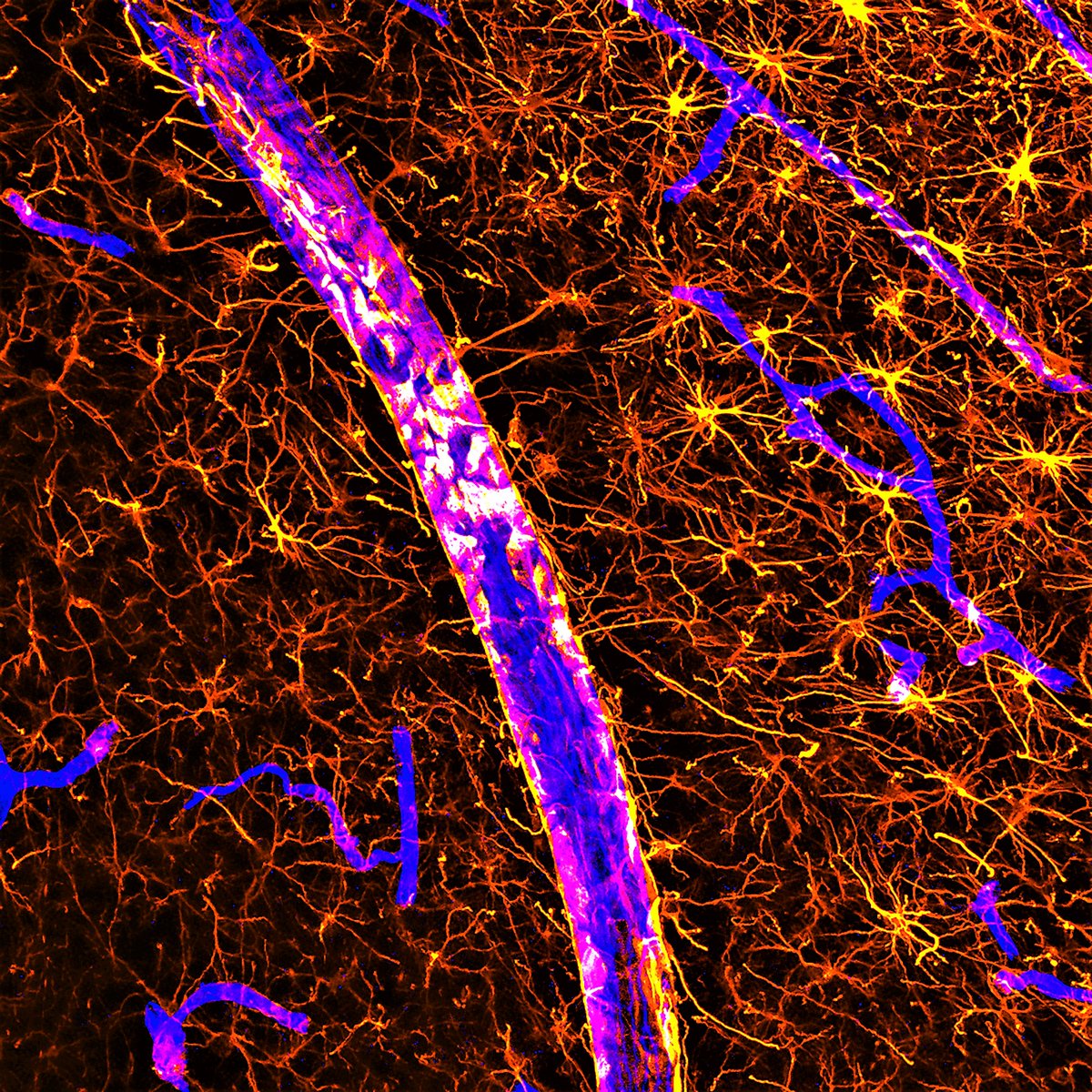 Danielle Beckman tweet media